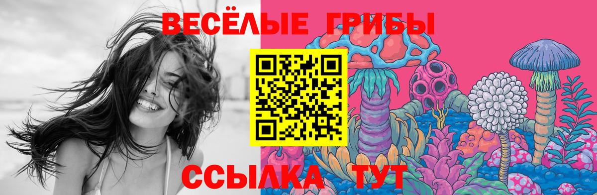Салехард  Псилоцибиновые грибы Magic Shrooms  Вход с VPN  Галлюциногенные грибы MAGIC MUSHROOMS 